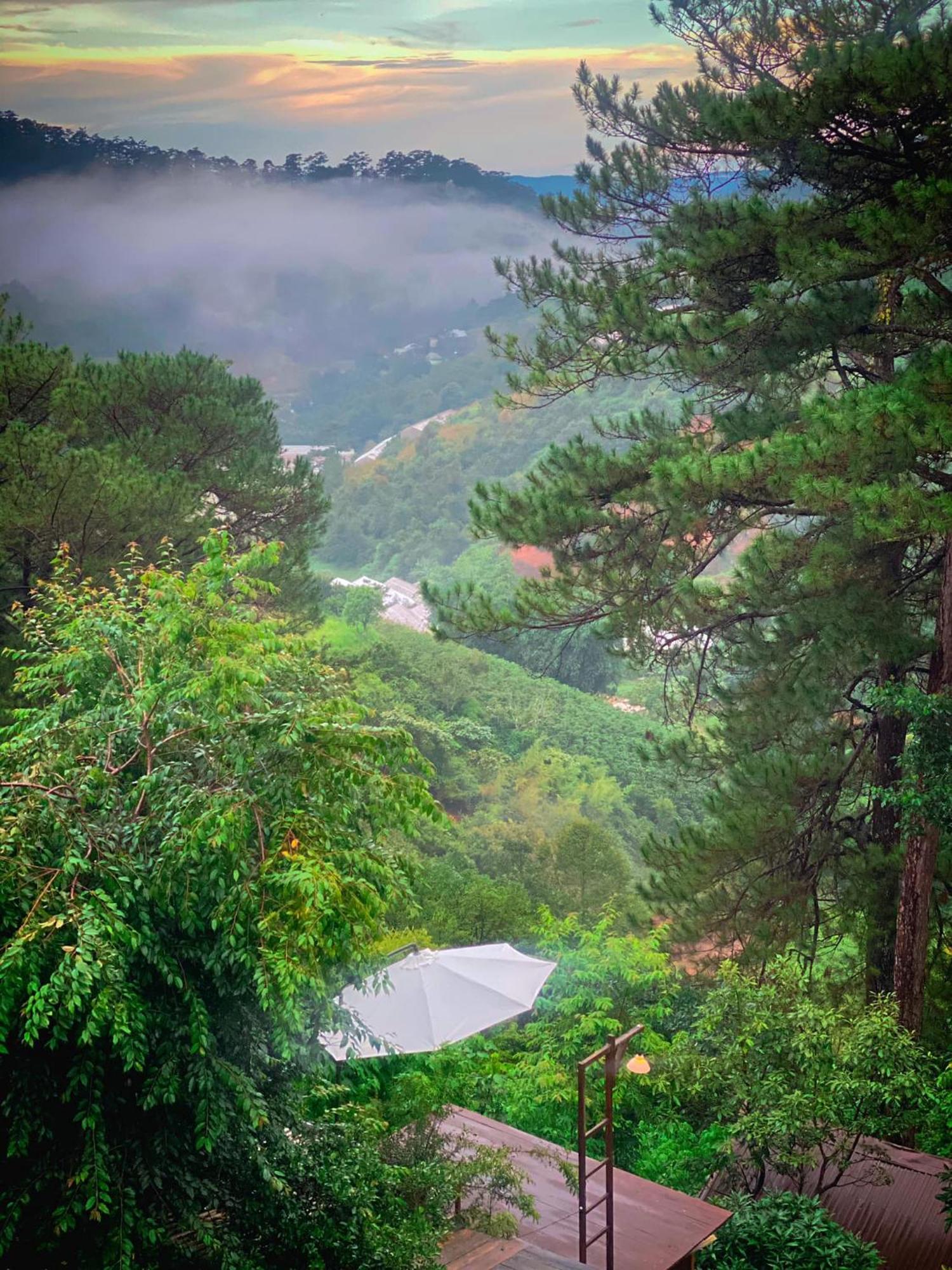 Dalat Memories Homestay - Pho Suong Mo Da Lat Dış mekan fotoğraf