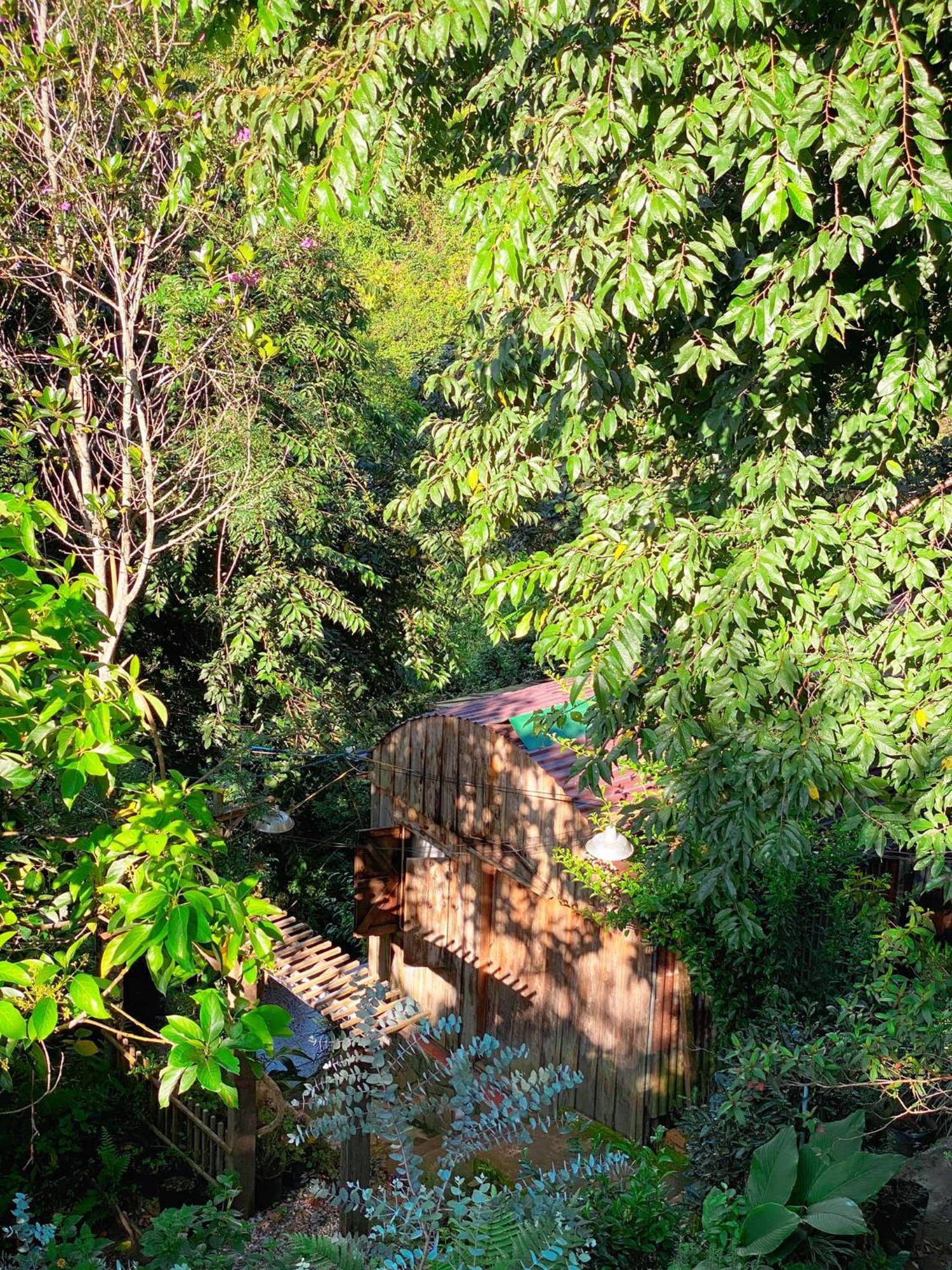 Dalat Memories Homestay - Pho Suong Mo Da Lat Dış mekan fotoğraf