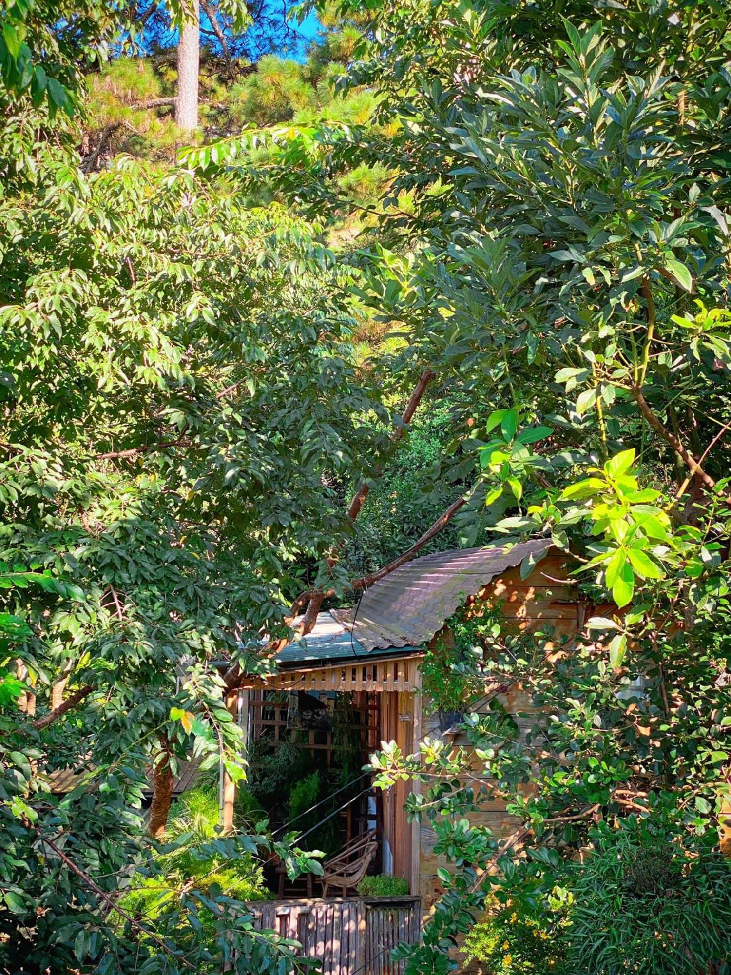 Dalat Memories Homestay - Pho Suong Mo Da Lat Dış mekan fotoğraf