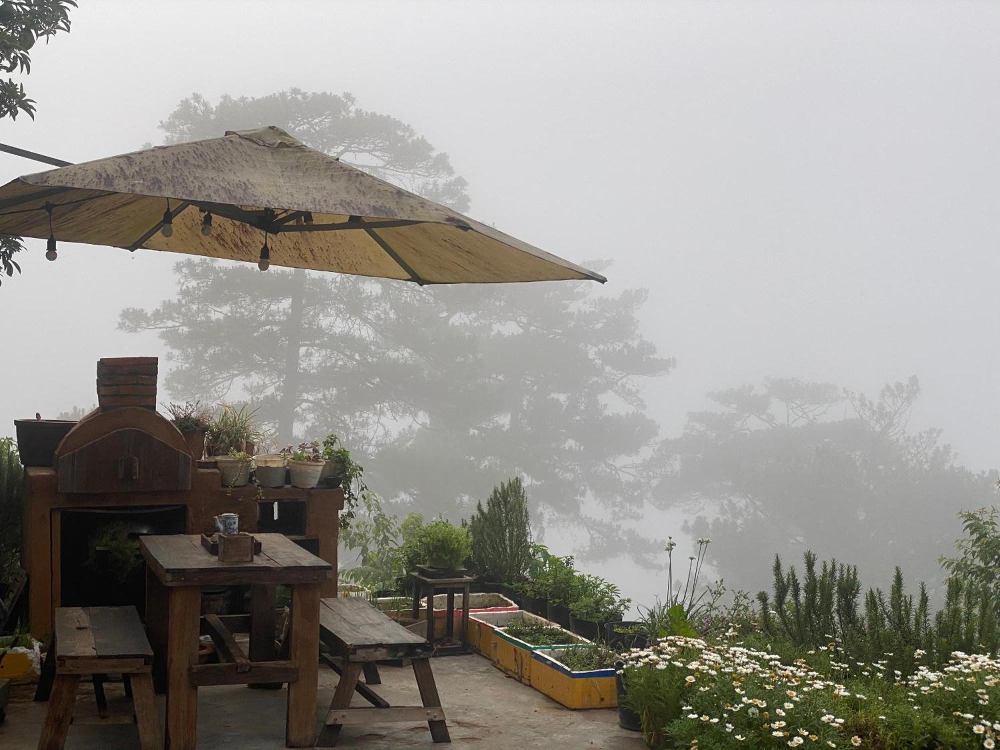 Dalat Memories Homestay - Pho Suong Mo Da Lat Dış mekan fotoğraf