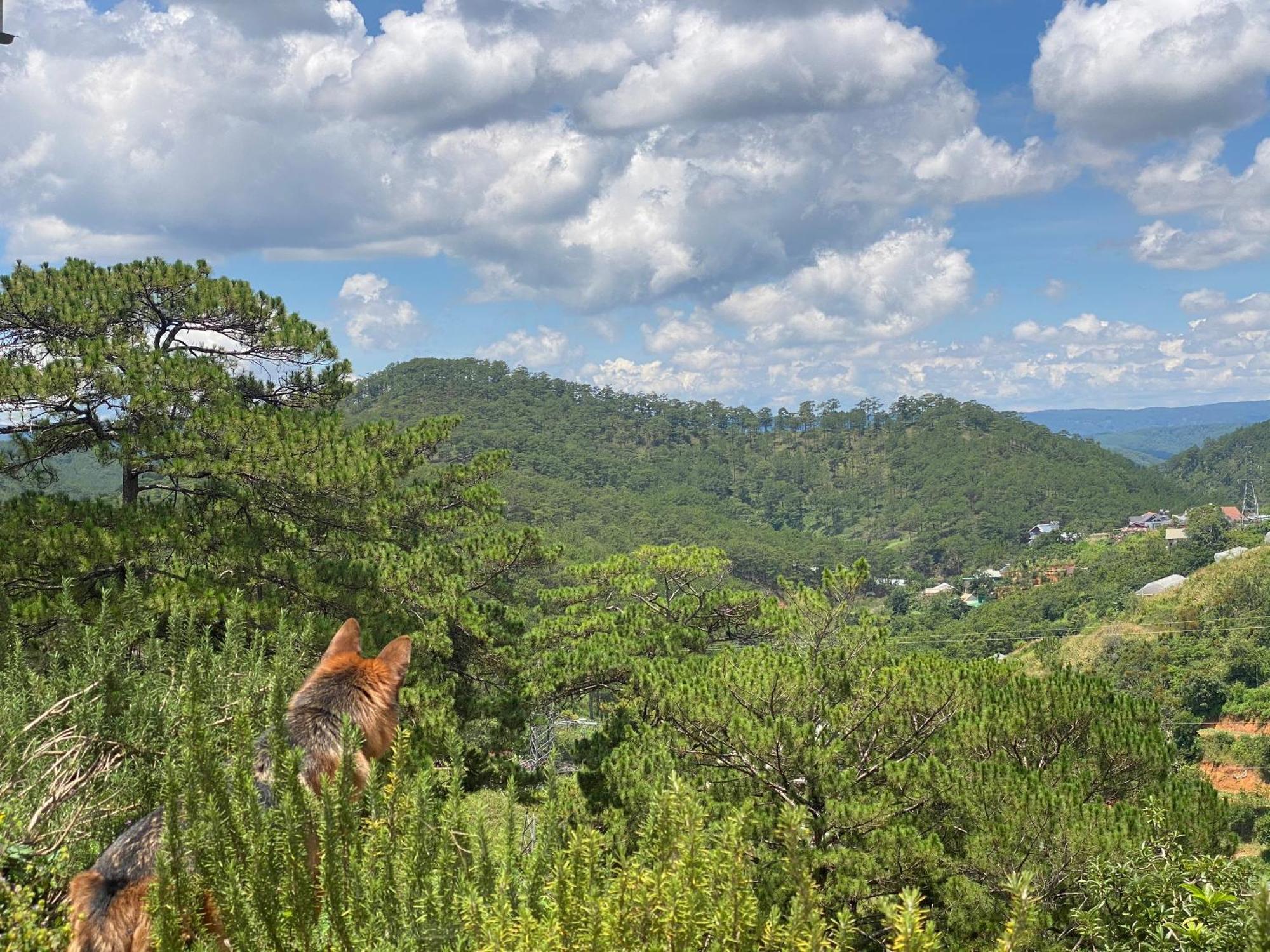 Dalat Memories Homestay - Pho Suong Mo Da Lat Dış mekan fotoğraf