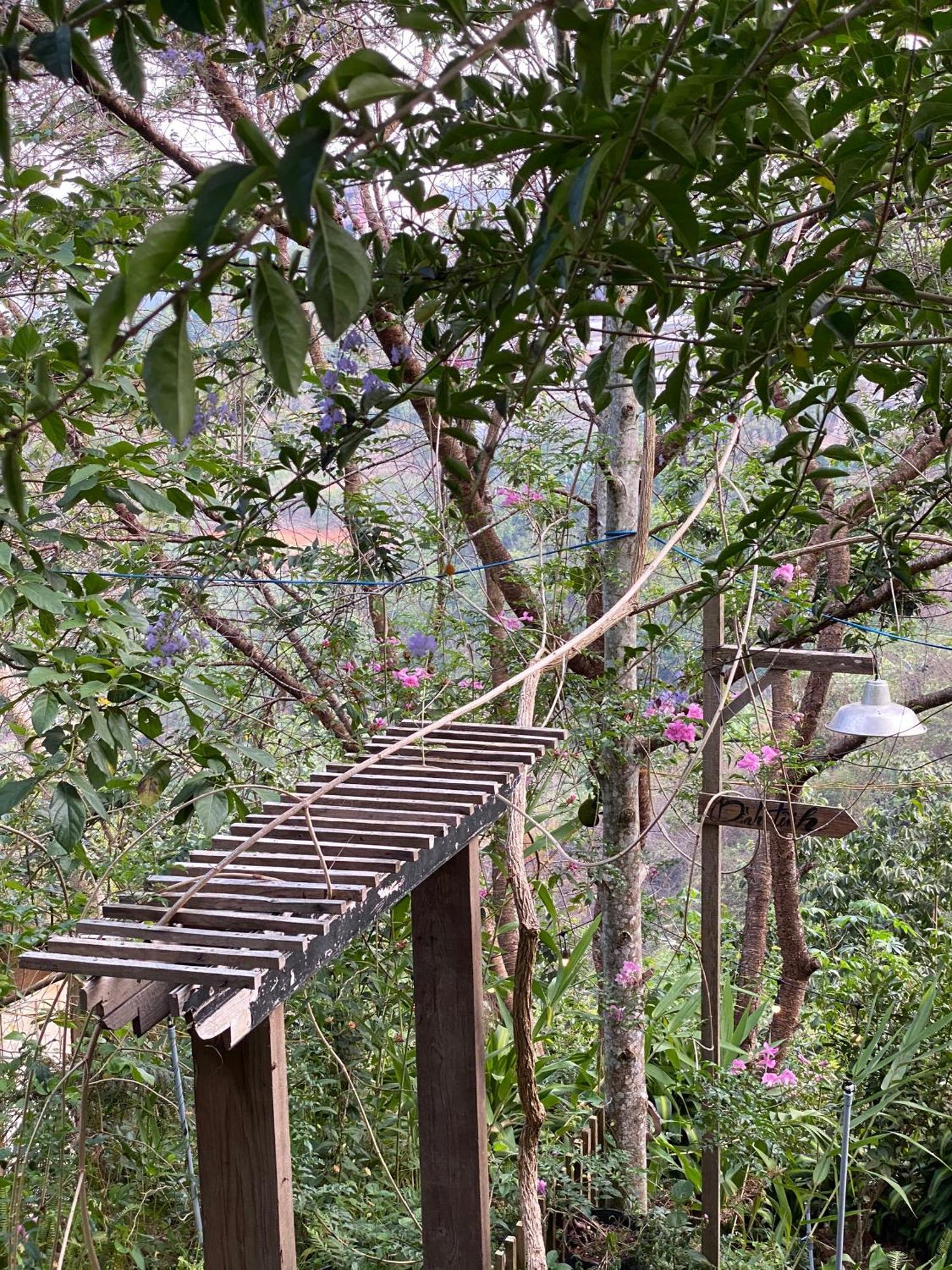 Dalat Memories Homestay - Pho Suong Mo Da Lat Dış mekan fotoğraf