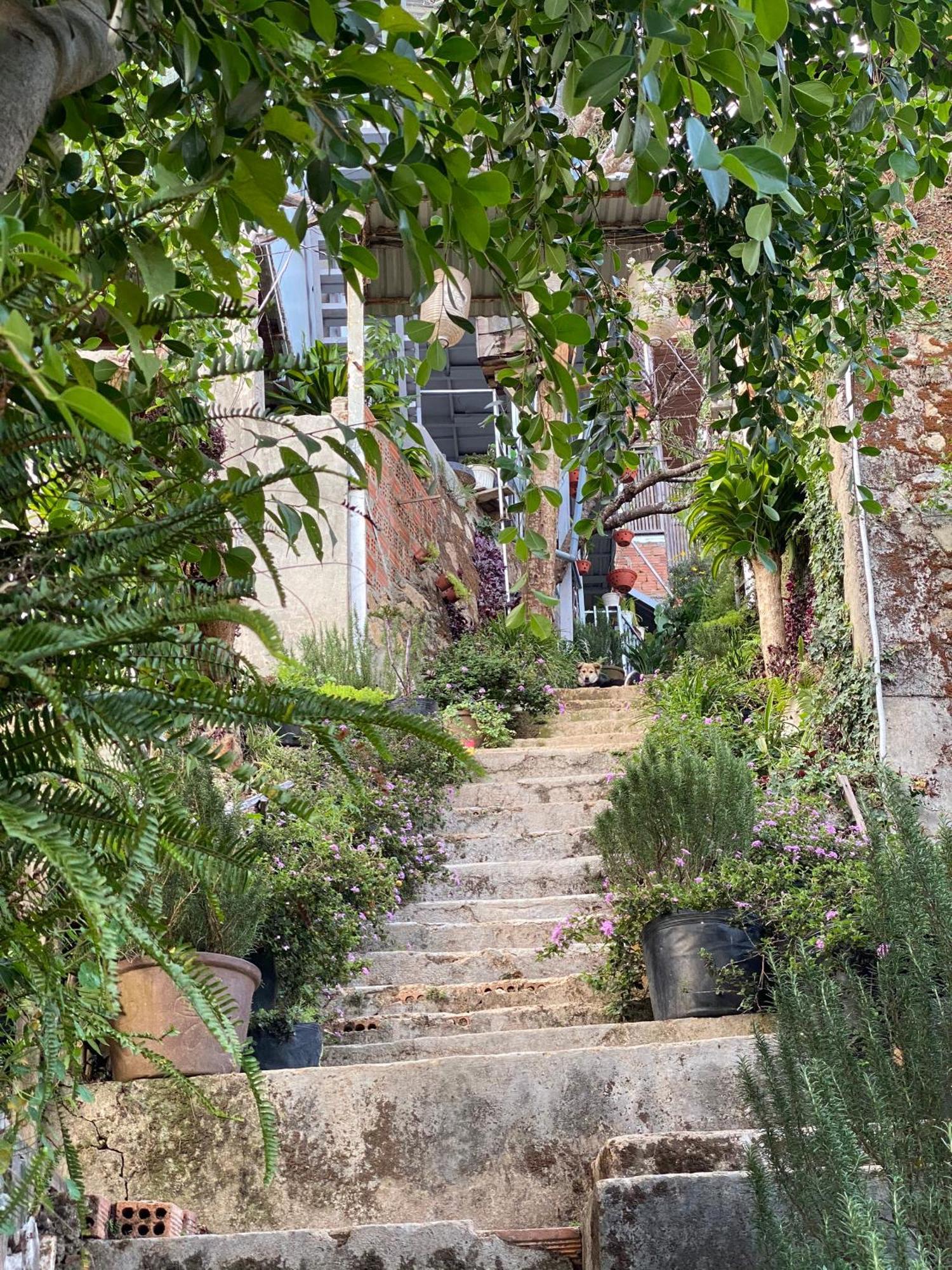 Dalat Memories Homestay - Pho Suong Mo Da Lat Dış mekan fotoğraf