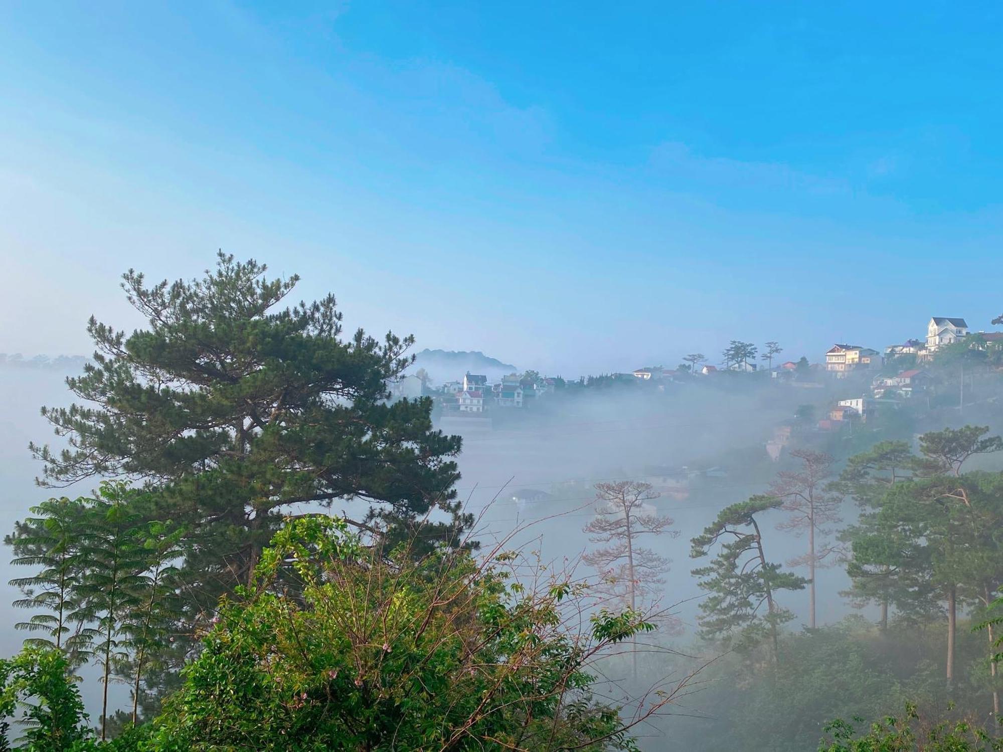 Dalat Memories Homestay - Pho Suong Mo Da Lat Dış mekan fotoğraf