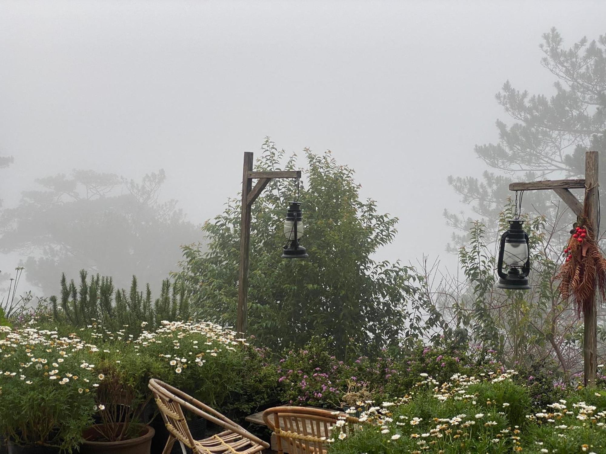 Dalat Memories Homestay - Pho Suong Mo Da Lat Dış mekan fotoğraf