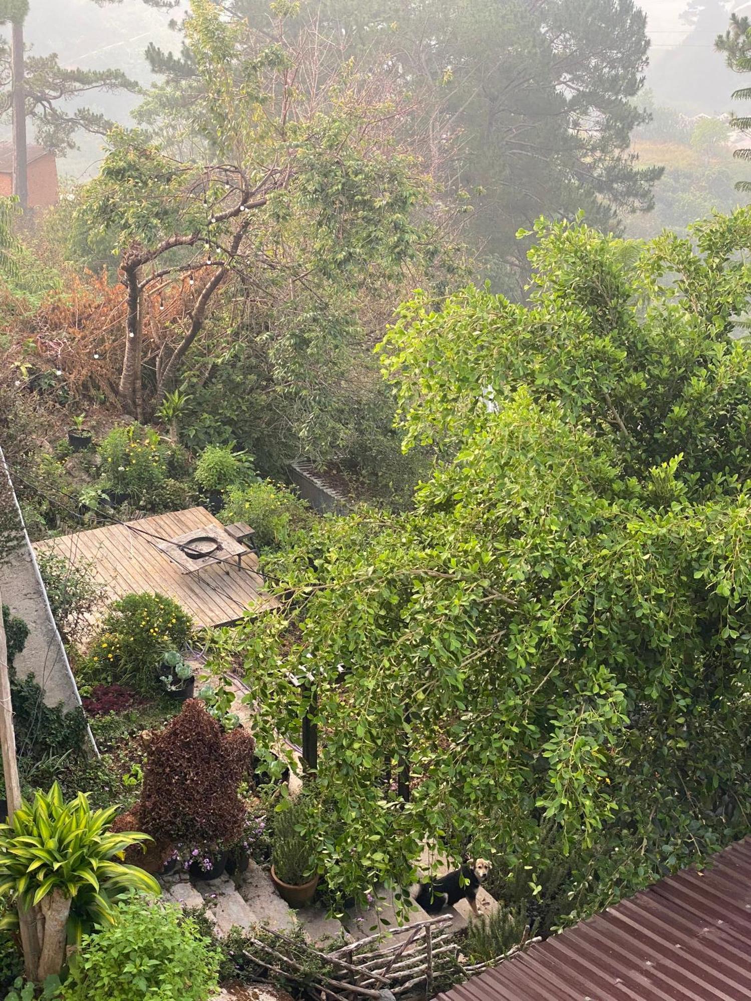 Dalat Memories Homestay - Pho Suong Mo Da Lat Dış mekan fotoğraf