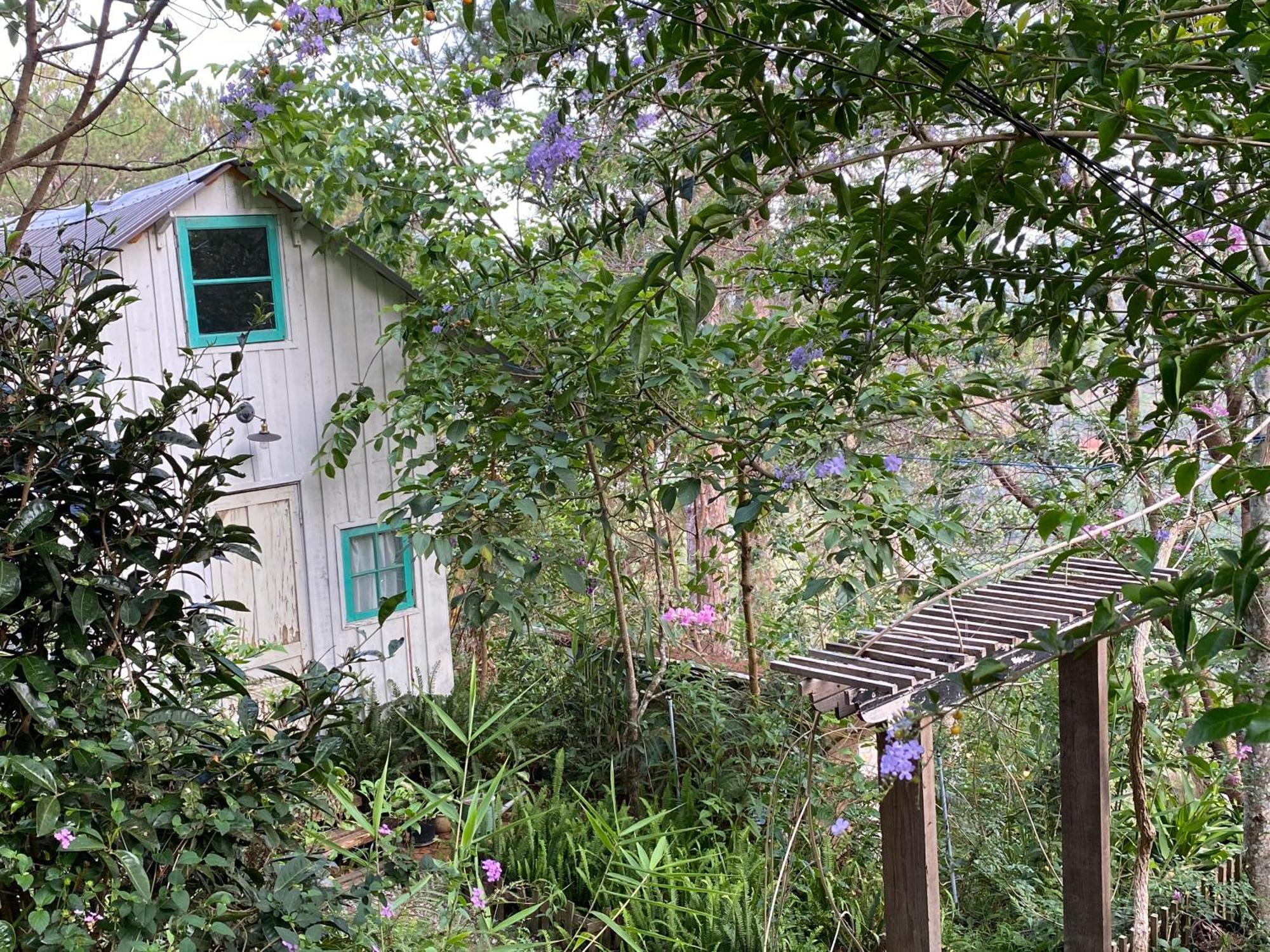 Dalat Memories Homestay - Pho Suong Mo Da Lat Dış mekan fotoğraf