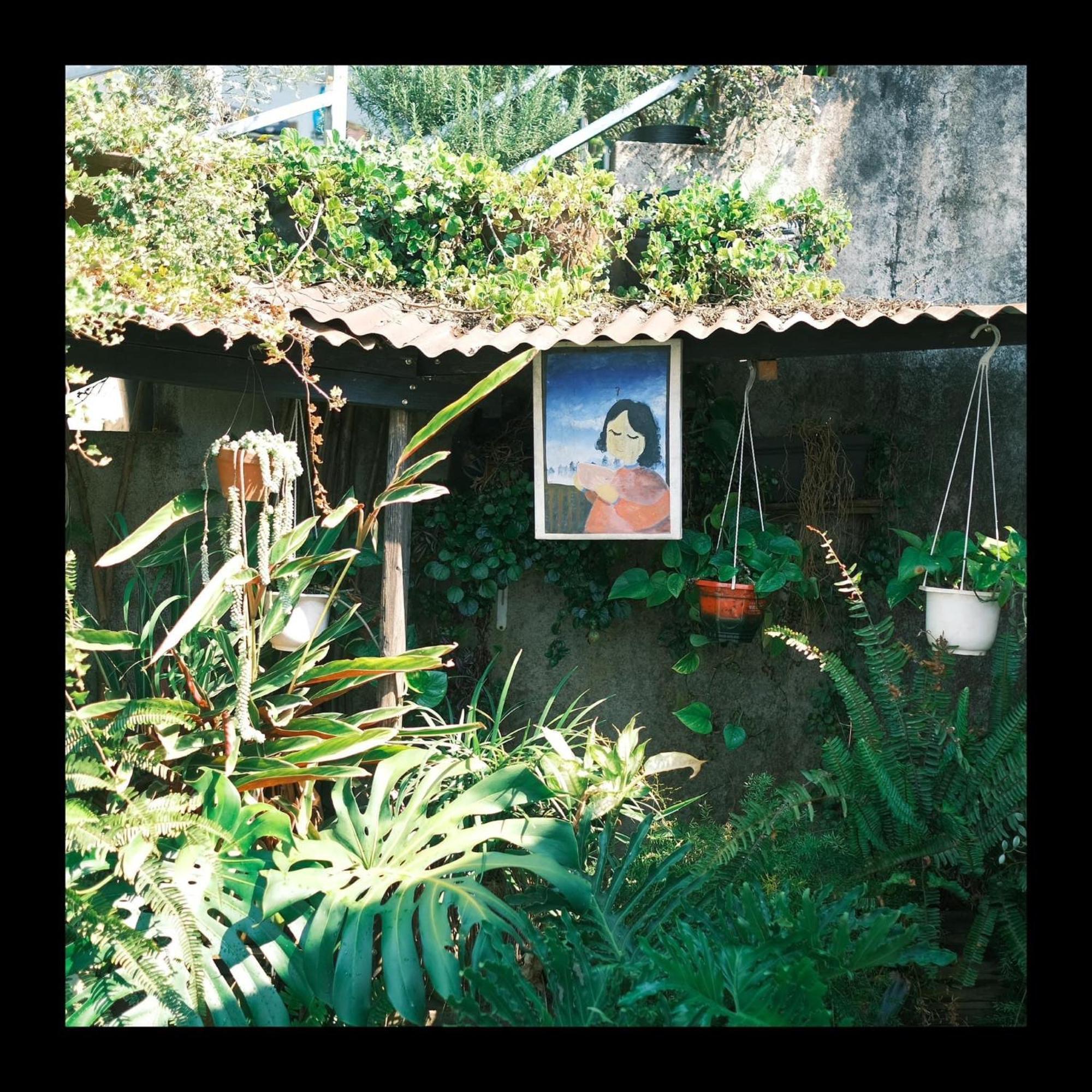 Dalat Memories Homestay - Pho Suong Mo Da Lat Dış mekan fotoğraf