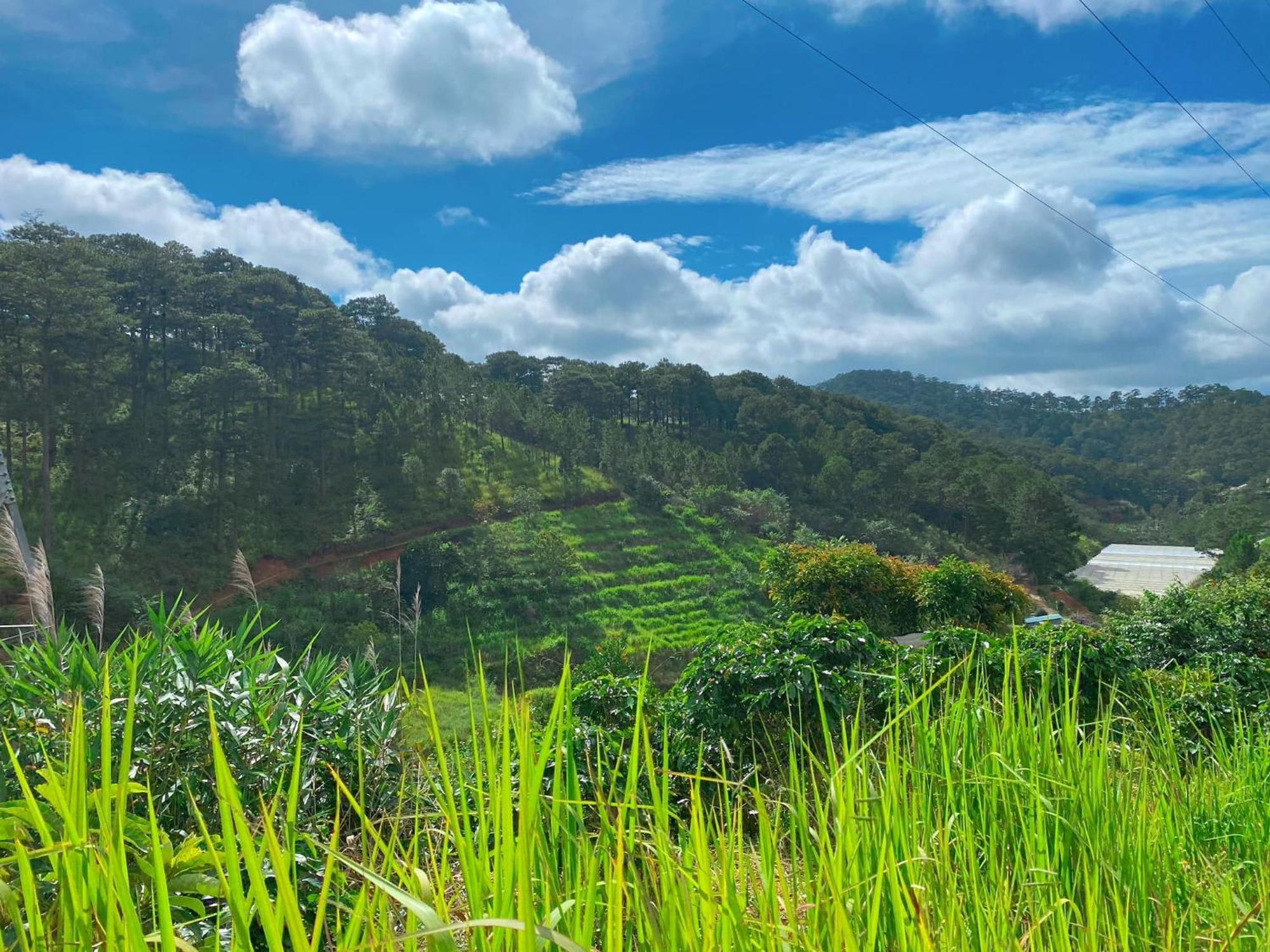Dalat Memories Homestay - Pho Suong Mo Da Lat Dış mekan fotoğraf